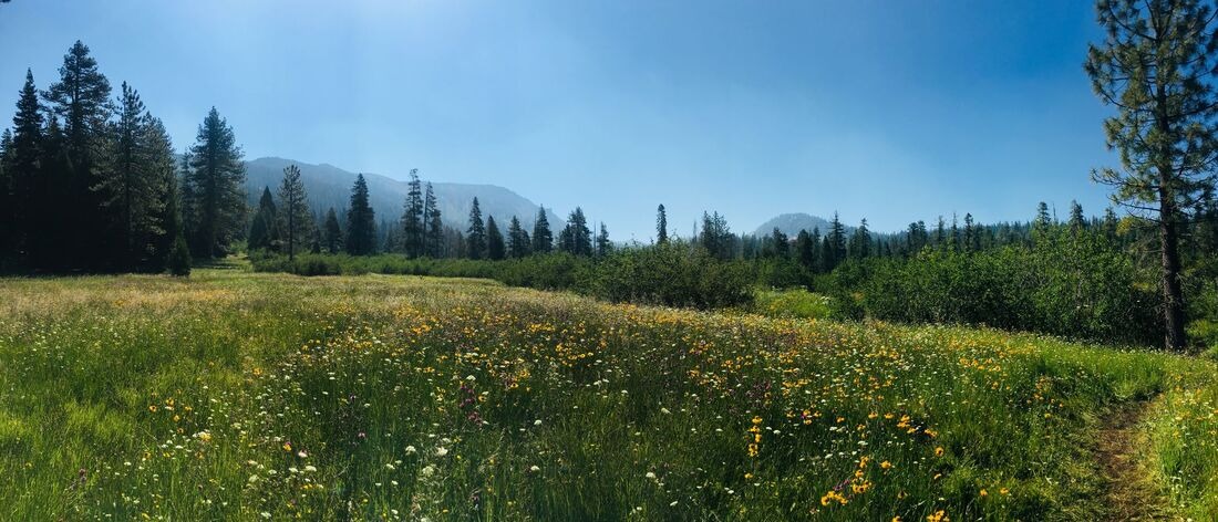 Headwaters Trail Runs