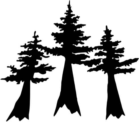 Cascade Crest 100M logo