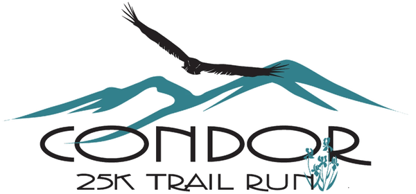 Condor 25K logo
