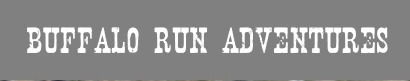 Harriman Trail Run logo