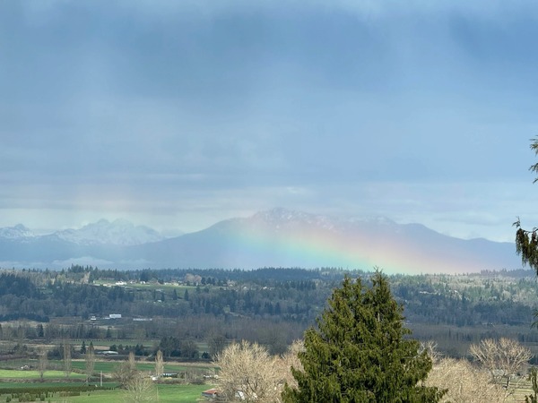 Rainbow Ridge 20K/50K