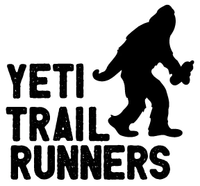Washington Yeti logo